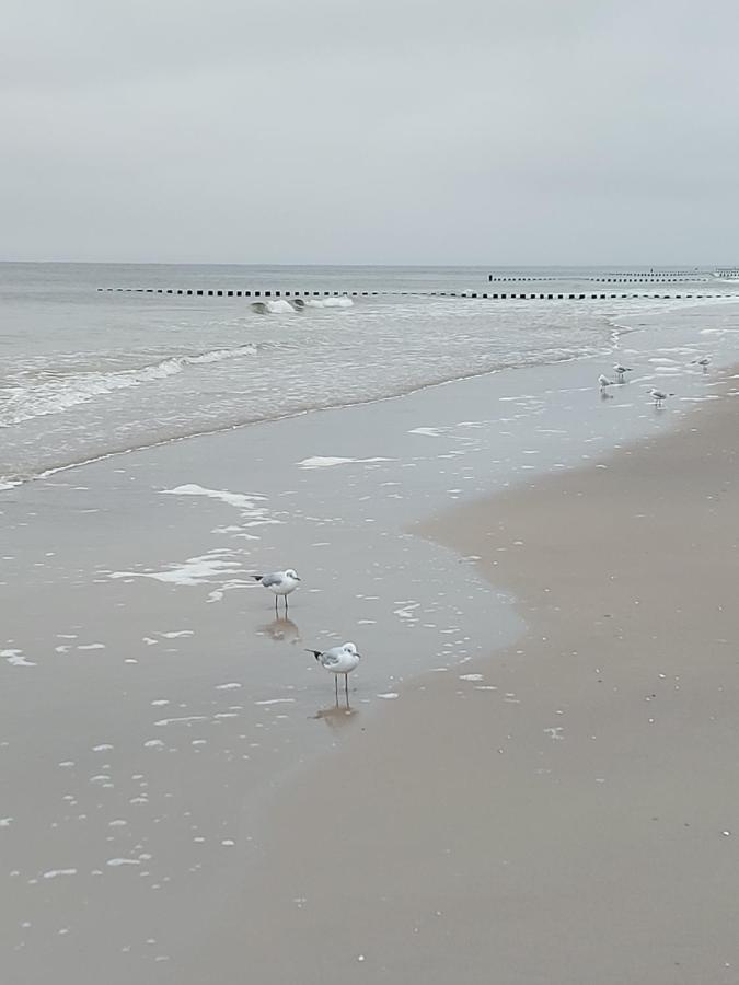 Achterwasser Blick Uckeritz Luaran gambar